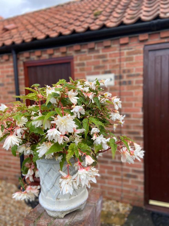 Willow Tree Cottages Newark-on-Trent  Bagian luar foto